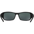 KING, Black Shiny-TNS, hi-res image number null